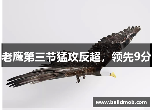 老鹰第三节猛攻反超，领先9分