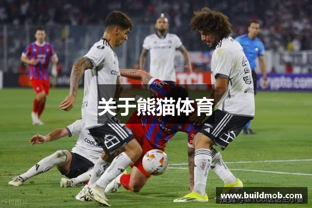 关于熊猫体育